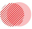 Company Profile Vector